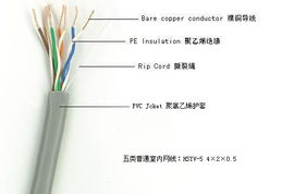 廣東揭陽網(wǎng)線廠 出廠價(jià)直供超五類、六類網(wǎng)線，專業(yè)定制網(wǎng)絡(luò)線纜解決方案